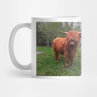 Scottish Highland Cattle Calf 2004 Mug